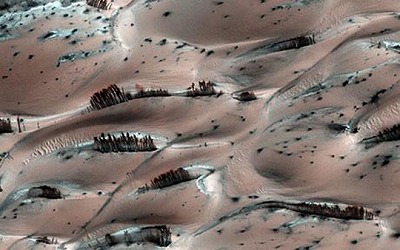 火星　針葉樹